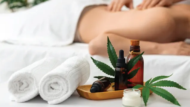 Ayurveda_The_Heart_of_Balance